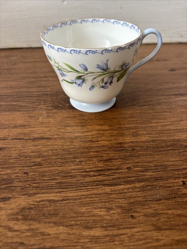 Shelley harebell cup - shelley,