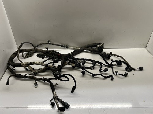 Engine wiring loom - engine,