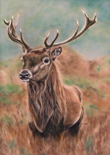British wildlife art stag - wildlife,