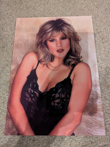Sam fox photo - sam, print
