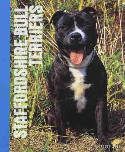 Staffordshire bull terriers - terriers, by
