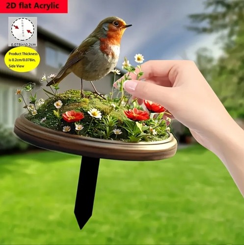 Flat one charming robin - flat,,