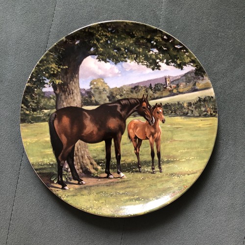Spode the noble english - the,