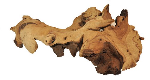Aquarium wood mopani root - wood, fish