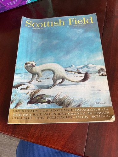 Vintage scottish field - vintage,