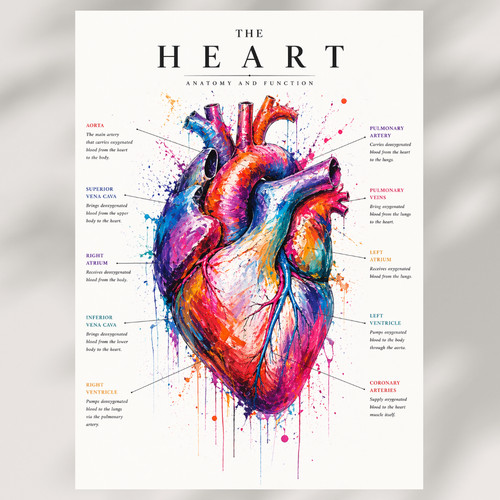Canvas human anatomy - anatomy, wall