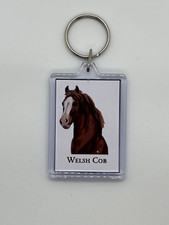 Welsh Cob Horse Pony Acrylic