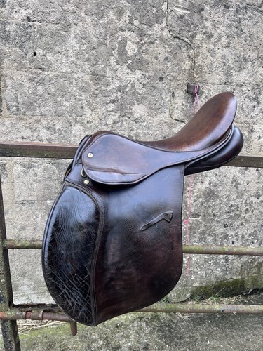 Brown saddle gp - gp, in