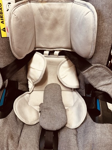 1 stroller - in,