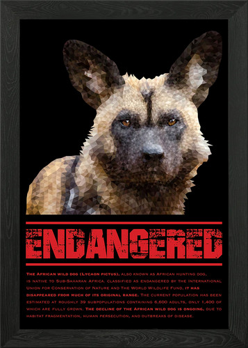 African wild dog framed wall - wild,