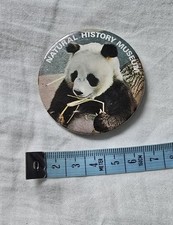 Vintage Natural History Museum Panda Pin Badge