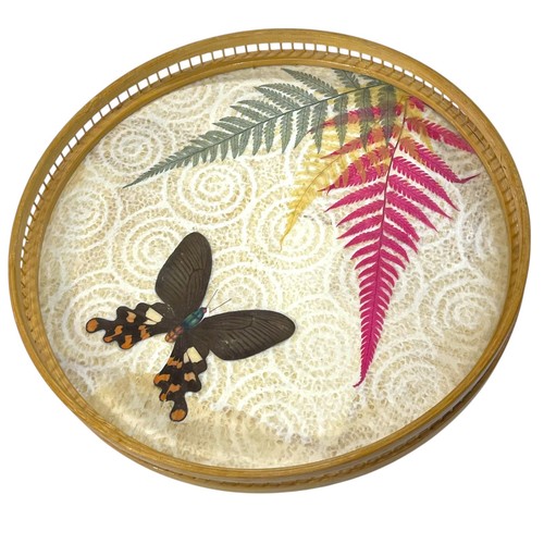 Vintage bamboo tray - bamboo, butterfly