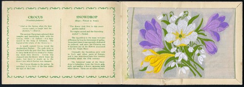 Wix kensitas flowers - kensitas,