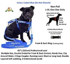 Strong As Leather Staffy Staff