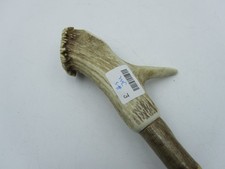 Handmade Wooden Walking Stick with horn handle