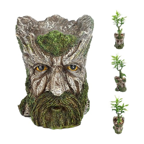 Indoor plant planter old - indoor, man