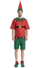 elf costume adult.  Christmas