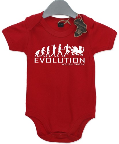 Evolution welsh rugby - evolution, babygrow