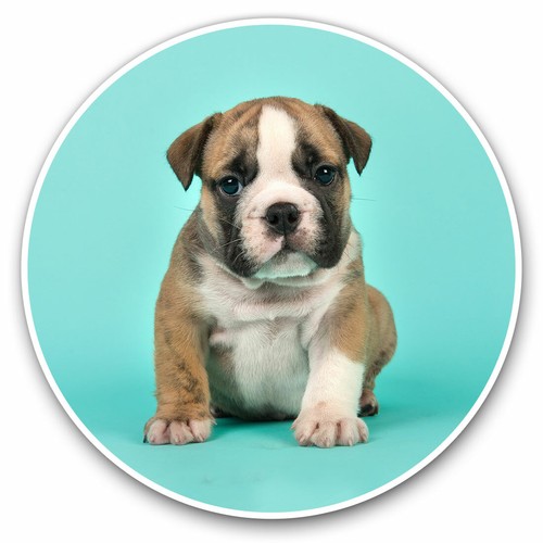 Vinyl stickers 5cm - 2,