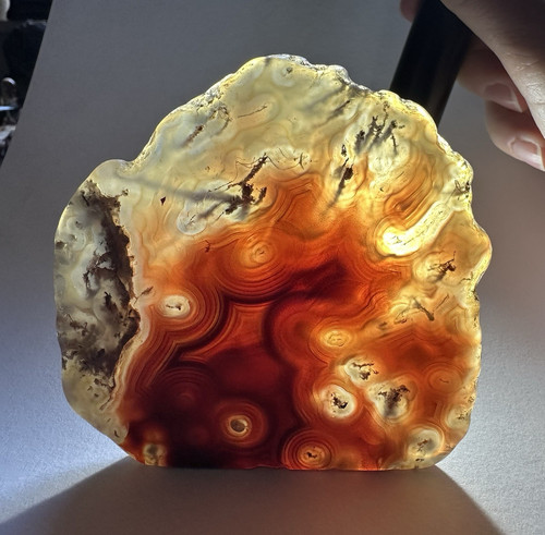 Polished banded agate slice - agate,