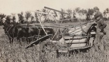 1930s Men Horse Drawn Farm