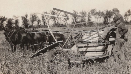 1930s men horse drawn - men, farm