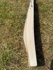 SS TON Sky Fire Cricket Bat SH