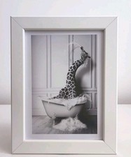 Funny b & w giraffe in a