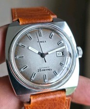 Timex Viscount Men's