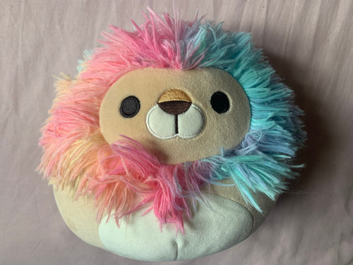 Ramon the rainbow - the,