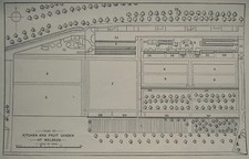 c1884 Gardening Print Nottinghamshire WELBECK - PLAN OF KITCHEN & FRUIT GARDEN