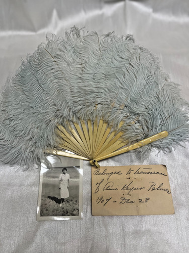 Antique 1907 ostrich feather - ostrich,