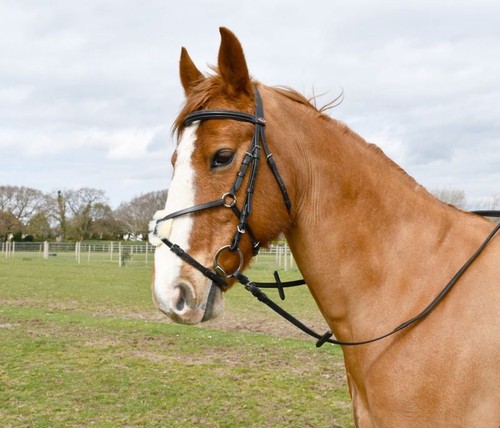 Windsor mexican bridle - mexican,