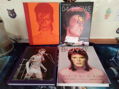 Job lot david bowie - job,