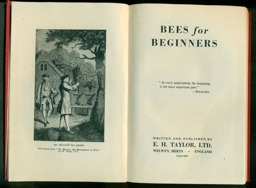 Bees for beginners - for,