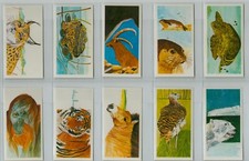 Brooke Bond. RE-ISSUE. A full set, 40 British cards, B32: 'Vanishing Wildlife'