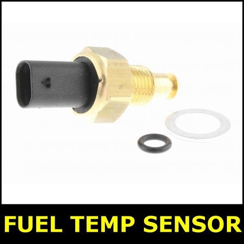 Fuel temperature sensor for - fuel,