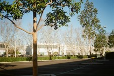 Chinon Bellami 35mm film