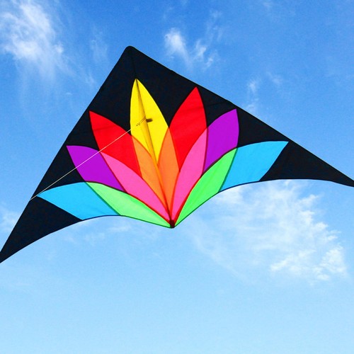 Giant delta kite paper kites - giant,