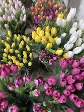 Thirty bright mixed - mixed, tulip