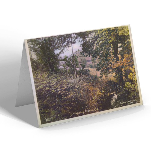 Greeting card vintage - card,