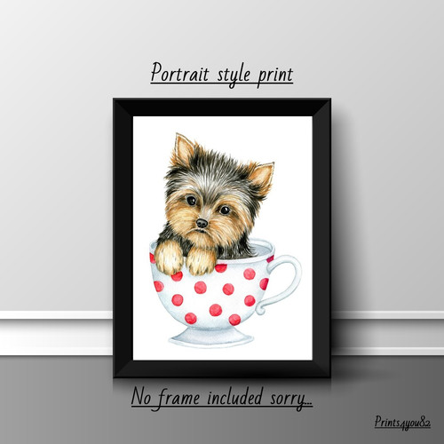 Yorkshire terrier picture - yorkshire,