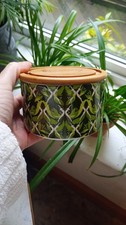 Rare Pukka Herbal Tea Green Ceramic & Bamboo Stackable Kitchen Storage Container