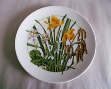 Royal Doulton, THROUGH GREEN