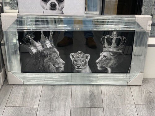 Lion king and - lion, queen