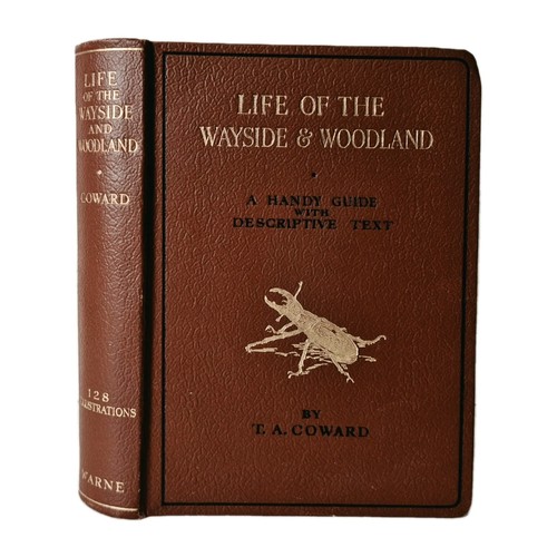 Life the wayside - wayside, and