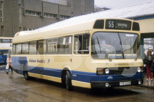 Bus photo midland bluebird - bus,