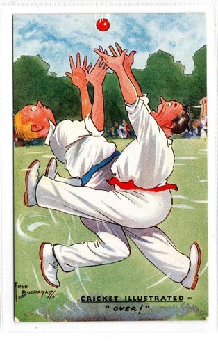Cricket illustrated over - cricket, "over!"