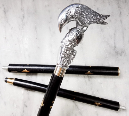 Unique bird skull - unique, handle