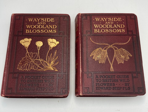 1905 wayside and - wayside, woodland